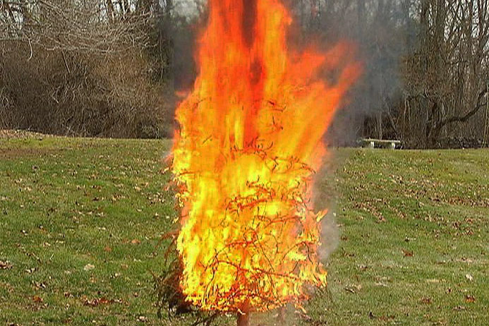 An Overly Dry Christmas Tree Can Become an Inferno in Seconds. See For Yourself. - screenshot