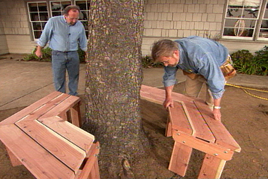 Build a Circular Bench Around Your Favorite Tree - screenshot